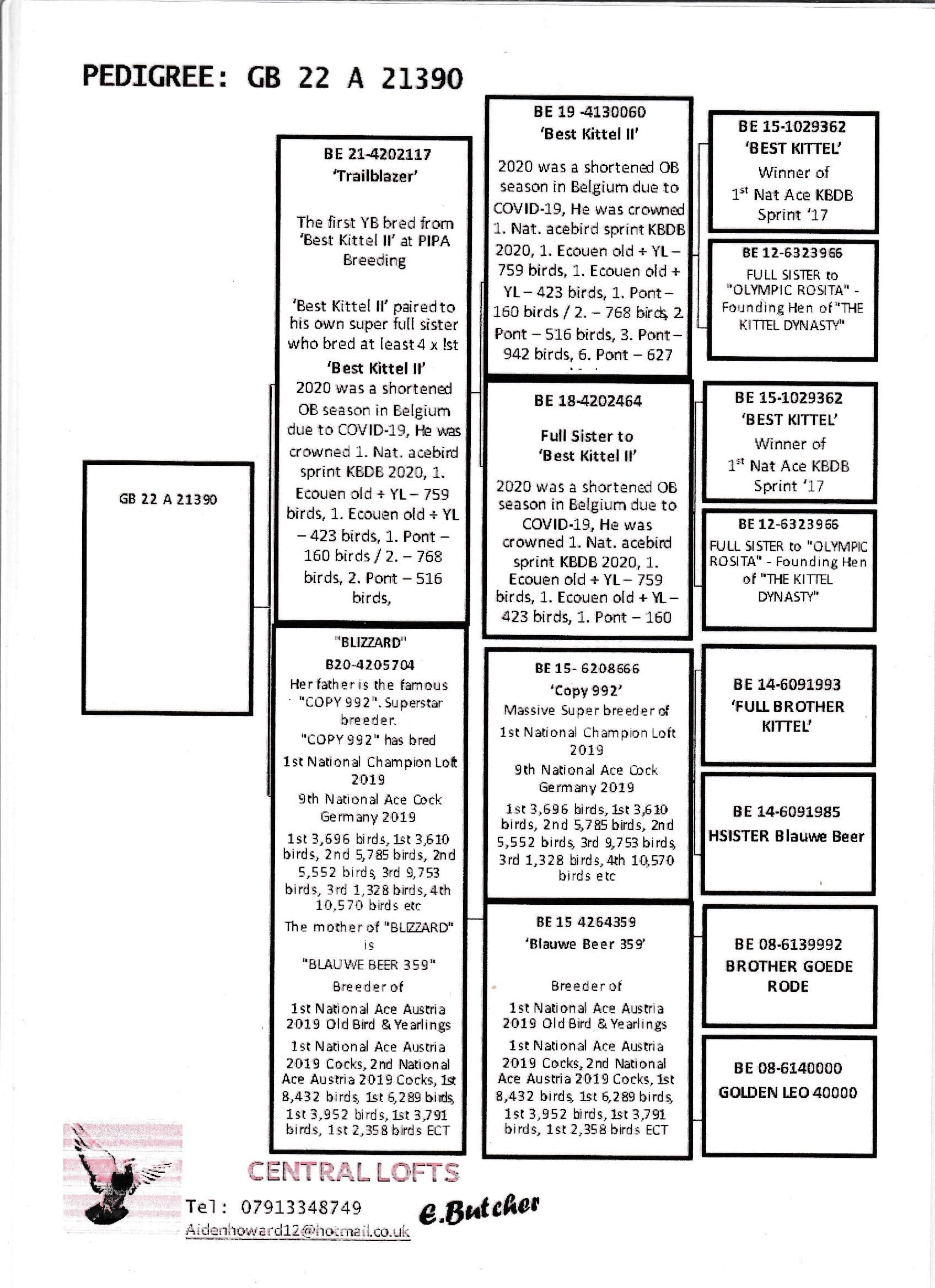 gb-22-a21390-northern-premier-online-auctions