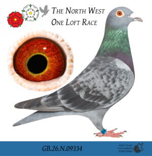 GB26 N 09334
