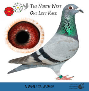 NWHU26 W 0696