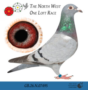 GB26 N 07495
