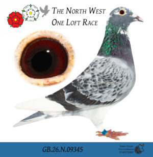 GB26 N 09345