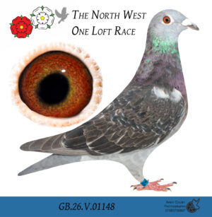 GB26 V 01148