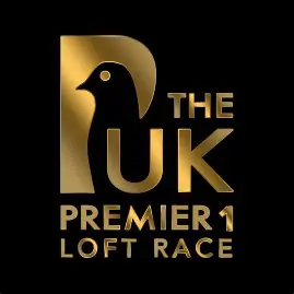 UK Premier One Loft Race Part 8