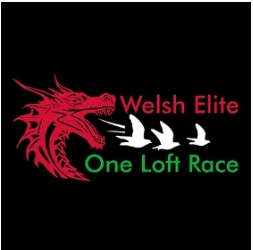 Welsh Elite One Loft Race