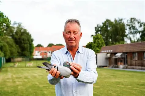 Gino Clicque (Info in Catalogue below)