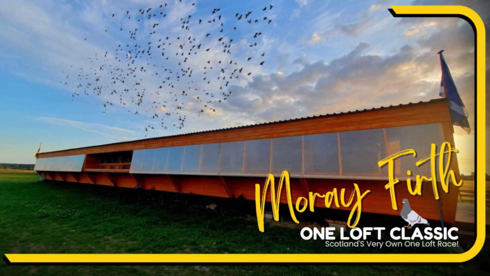 Moray Firth One Loft Classic Race