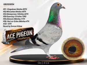 GB25S58554