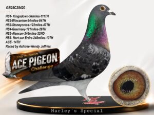 GB25C35420