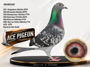 GB25B22365