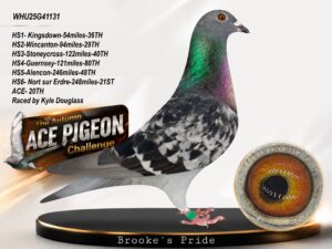 WHU25G41131