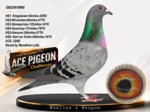 GB25N18060