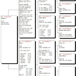 GB26V01547 — pedigree