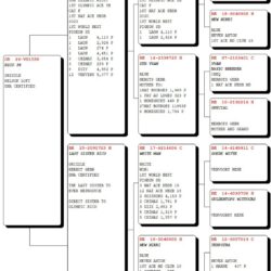 GB26V01558 — pedigree