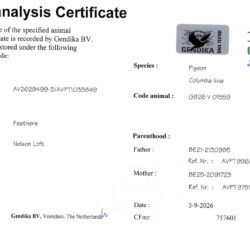 GB26V01559 — dna