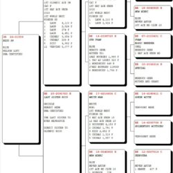 GB26V01559 — pedigree