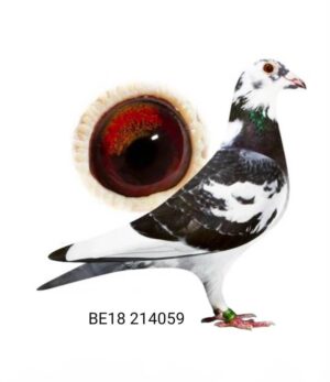 BE18-2149059 — photo