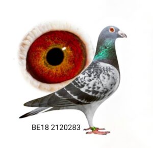 BE18-2120283 — photo