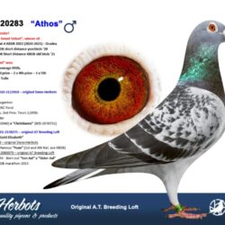 BE18-2120283 — support