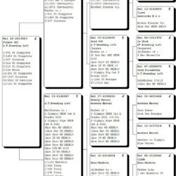 BE22-2019023 — pedigree
