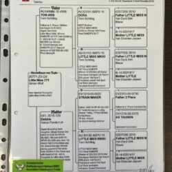 CH23-20771 — pedigree