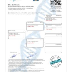 BE24-6184706 — dna