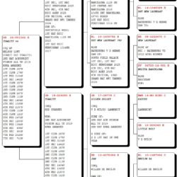 GB26V01546 — pedigree